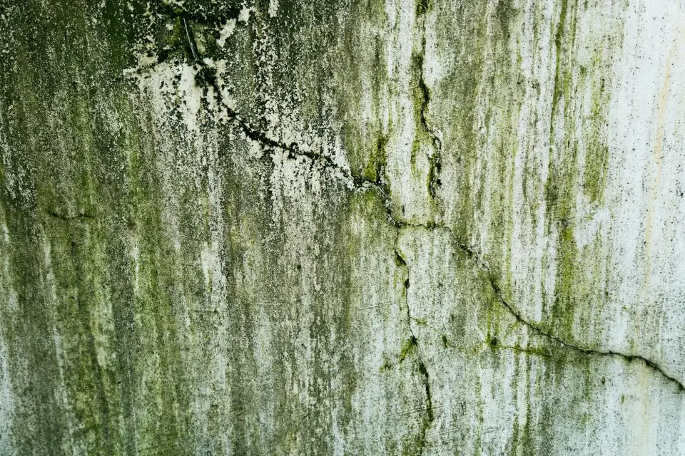Our Story