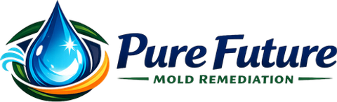 Pure Future Mold Remediation